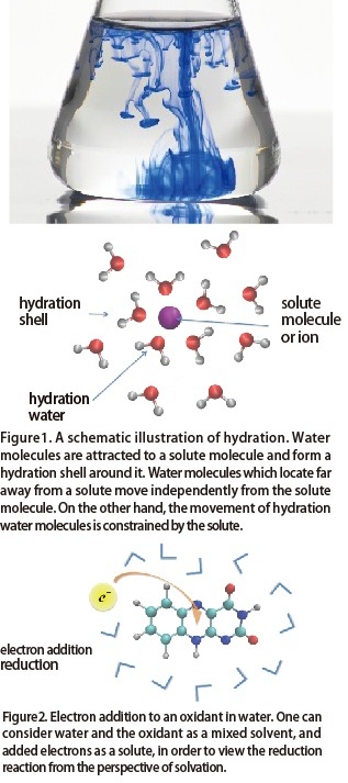 p16-fig-e