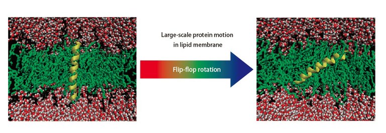 t8-p9-fig2