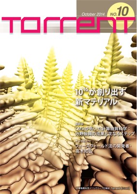 torrent10-cover-j
