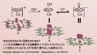 水分子